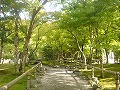 化野念仏寺の写真