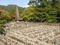 化野念仏寺の写真