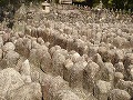 化野念仏寺の写真