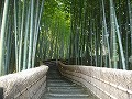 化野念仏寺の写真