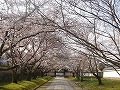 醍醐寺の写真