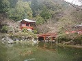 醍醐寺の写真