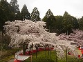 醍醐寺の写真