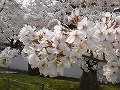 醍醐寺の写真