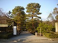 大覚寺の写真