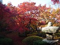 圓光寺の写真