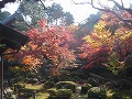 圓光寺の写真