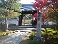 圓光寺の写真
