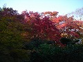 圓光寺の写真