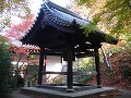 圓光寺の写真