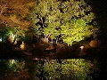 圓徳院の写真
