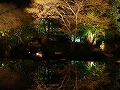 圓徳院の写真