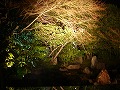 圓徳院の写真