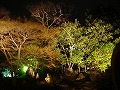 圓徳院の写真
