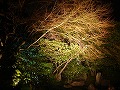 圓徳院の写真