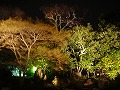 圓徳院の写真