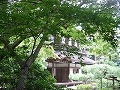 銀閣寺の写真