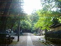祇王寺の写真