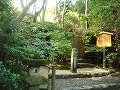 祇王寺の写真