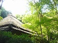 祇王寺の写真