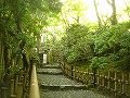 祇王寺の写真