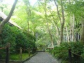 祇王寺の写真