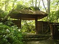 祇王寺の写真
