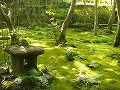 祇王寺の写真