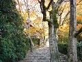 寂光院の写真