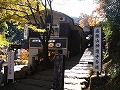 神護寺の写真