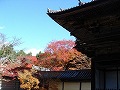神護寺の写真