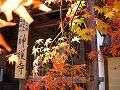 神護寺の写真