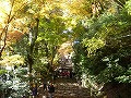 神護寺の写真
