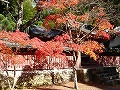 神護寺の写真