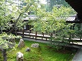 建仁寺の写真