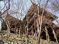 清水寺の写真