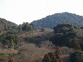 清水寺の写真