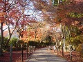 光明寺の写真