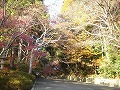 光明寺の写真