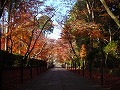 光明寺の写真