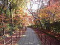 光明寺の写真