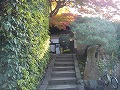 金福寺の写真