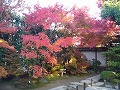 金福寺の写真