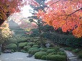 金福寺の写真
