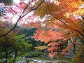 金福寺の写真