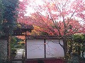 金福寺の写真