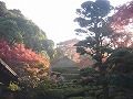 金福寺の写真