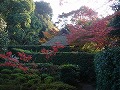 金福寺の写真