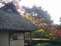 金福寺の写真