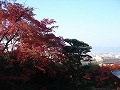 金福寺の写真